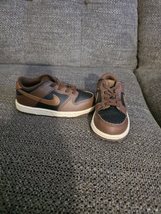 Nike Other - Nike Toddlers 9c Dunk Low